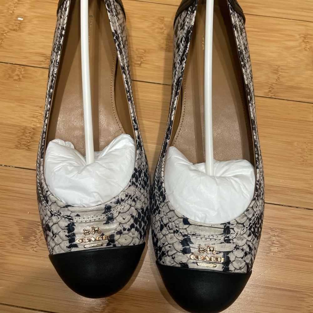 Coach Chelsea snakeprint flat